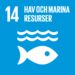 hav och marina resurser mål 14